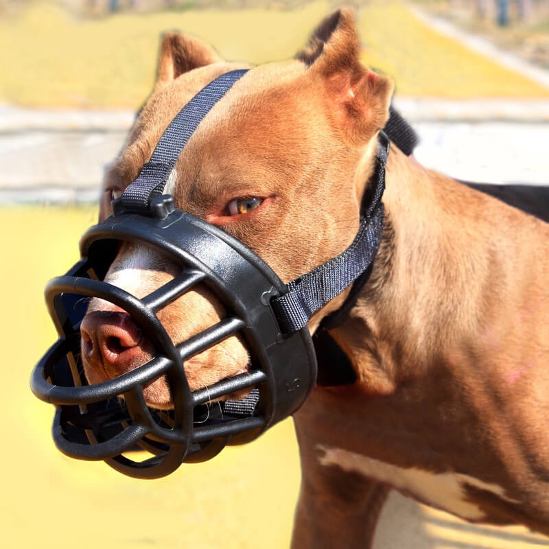 how to make a dog muzzle
